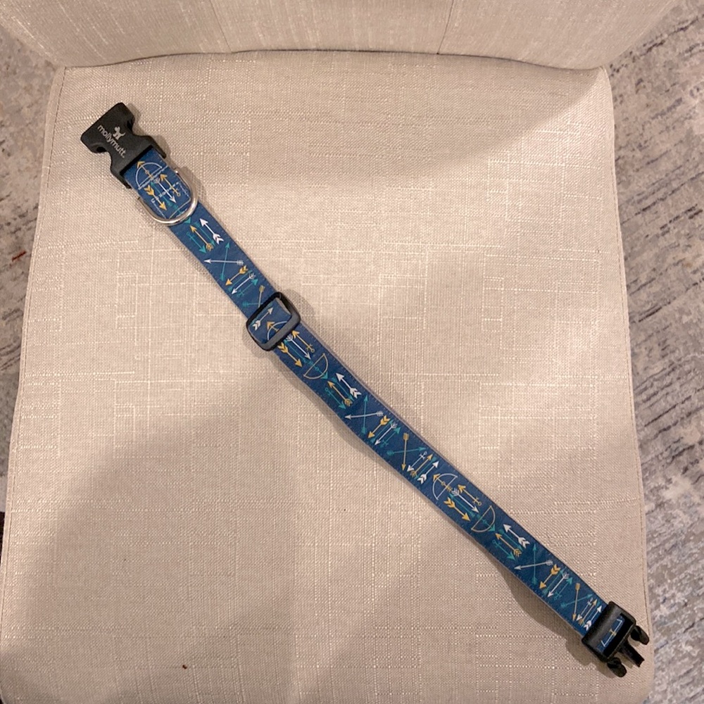 Blue dog collar with arrow pattern